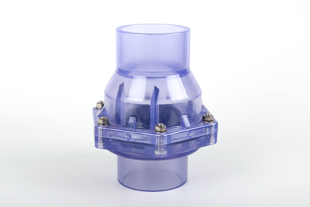 云梦透明翻板式止回阀